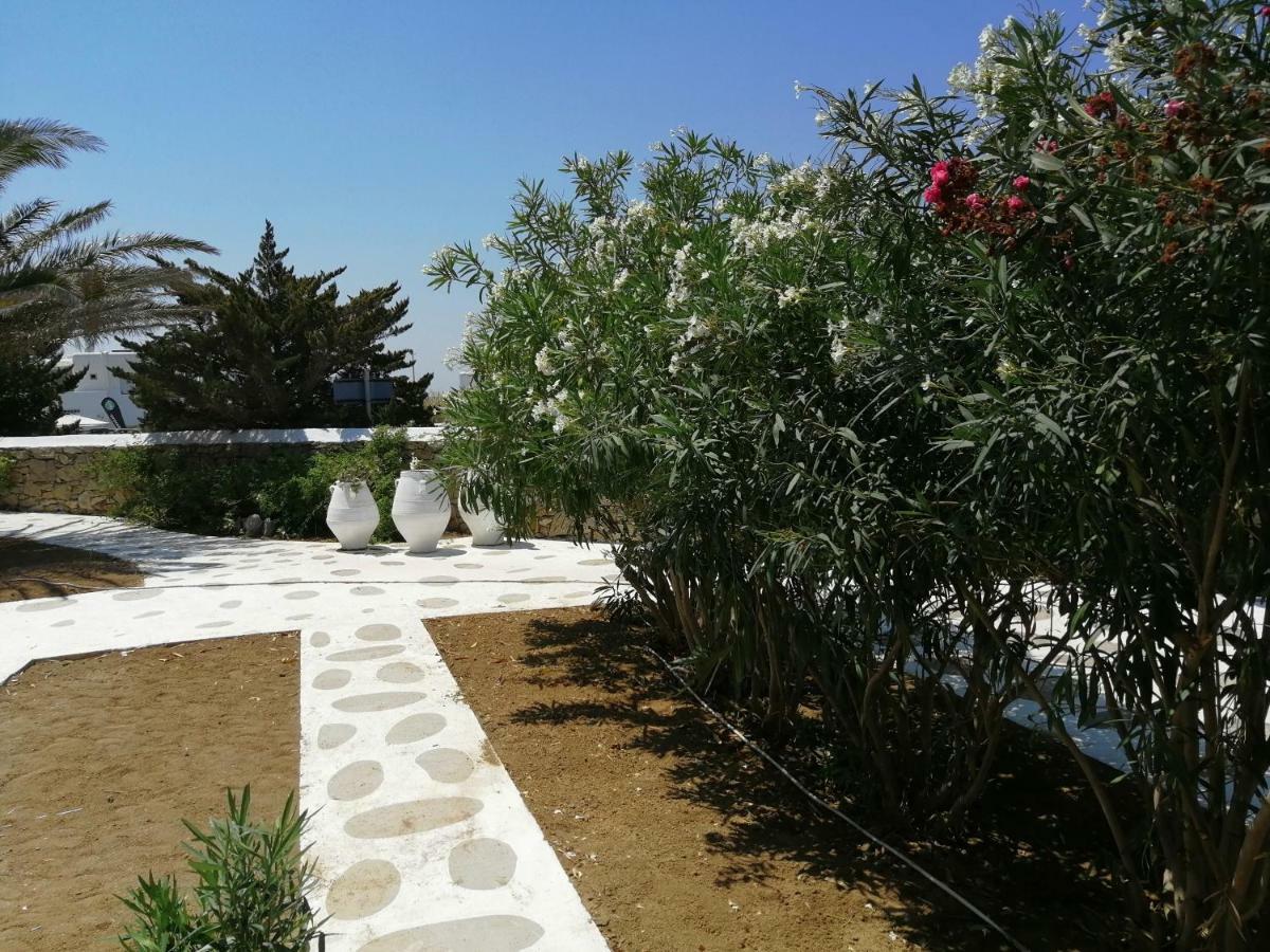 Geranium Residence Adults Only Mykonos Town 객실 사진